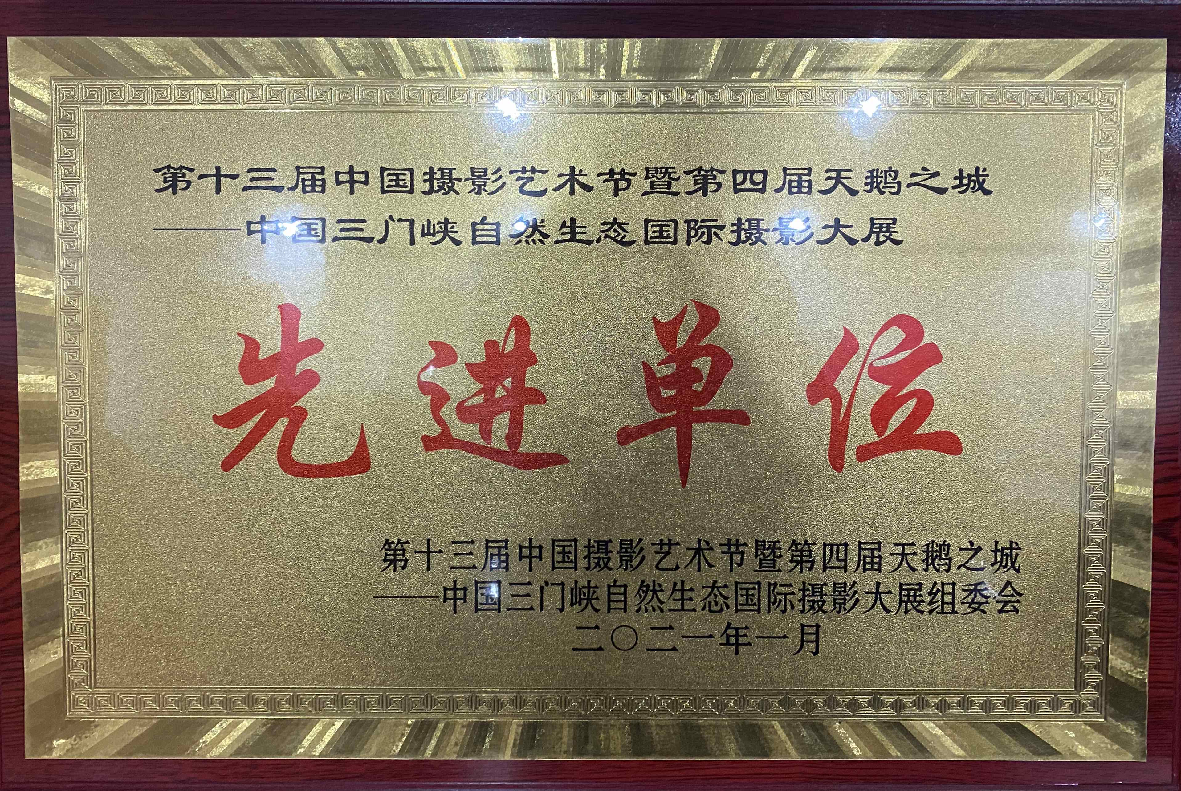 第十三屆中國攝影藝術節暨第四屆天鵝之城-中國三門峽自然生態國際攝影大展